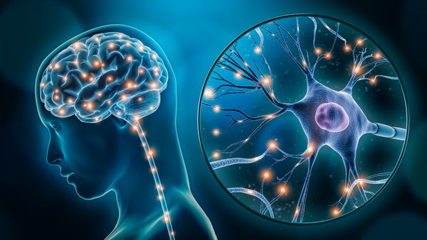 Psychology and Compartmentalizing Consciousness