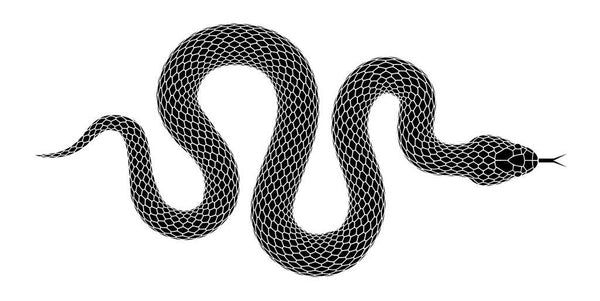 Shedding Light on the Dark Side: The Symbolic Role of the Serpent