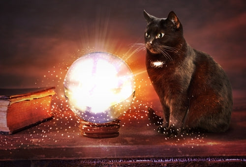 Soul Pets and Familiars in Luciferianism: Navigating the Intersections